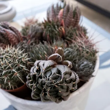 Abalto & Bed & Breakfast 4*